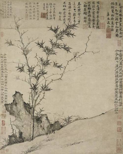 Thorns, Bamboo and Quiet Birds