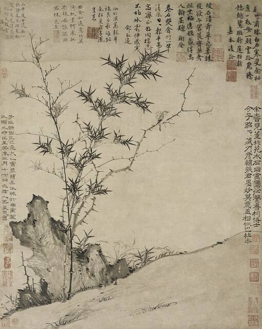 Thorns, Bamboo and Quiet Birds