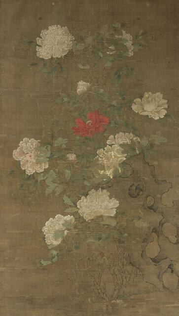 Tree Peonies, Garden Rocks, and Insects