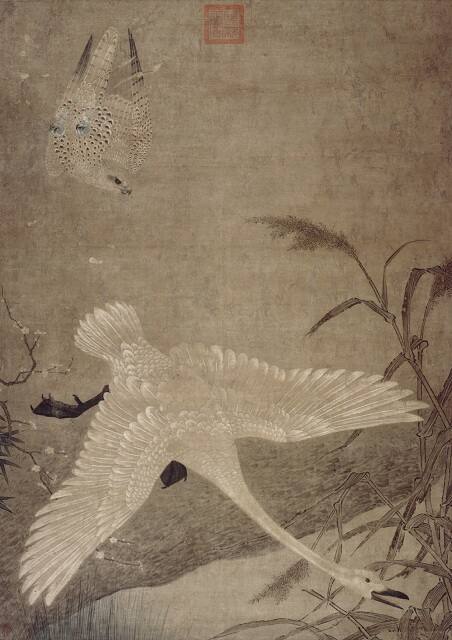 Hunting Falcon Attacking a Swan