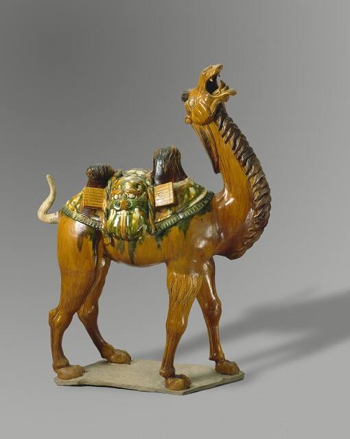 Bactrian Camel with Pack Saddle