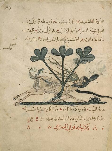 Abdallah Ibn al-Fadl