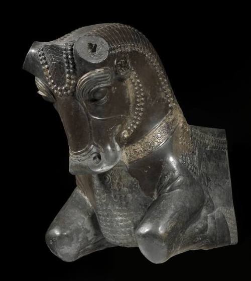 Capital in the Shape of a Bull