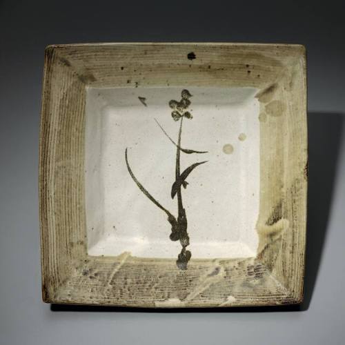 Square Dish