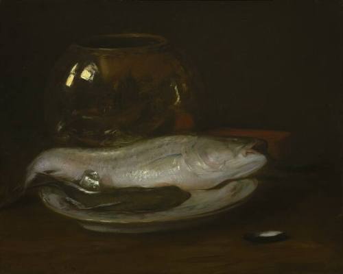Still Life--Striped Bass