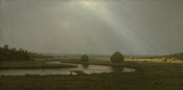 After the Rain in the Salt Marshes