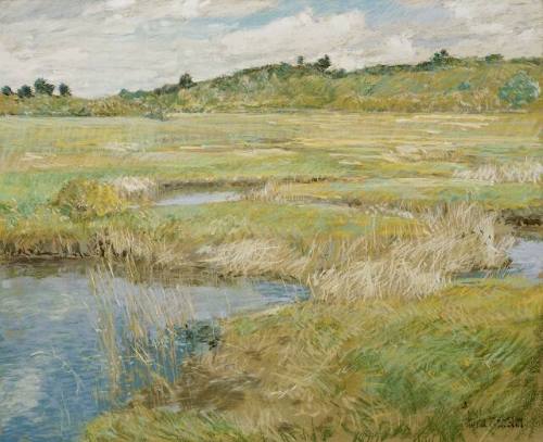 The Concord Meadow