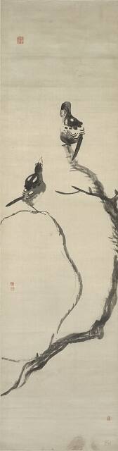 Mynah Birds, Old Tree Branch, and Rocks