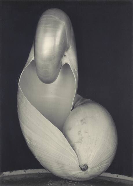 Two Shells