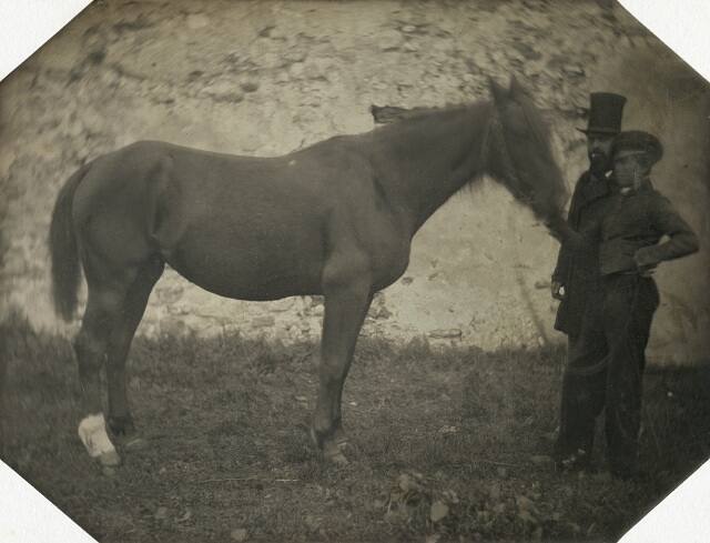 The Horse, “Surprise”
