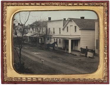 Howell, Michigan (quiet street with dog)