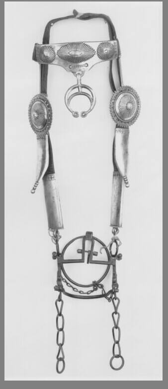 Bridle