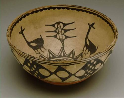 Meal Bowl