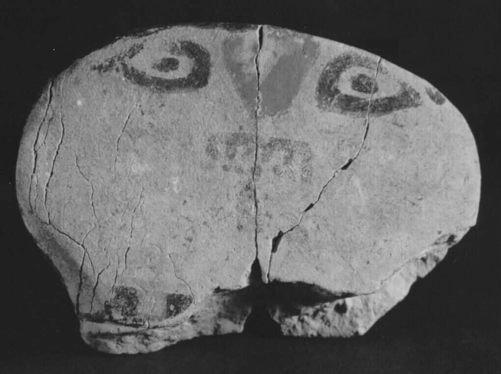 Head Fragment