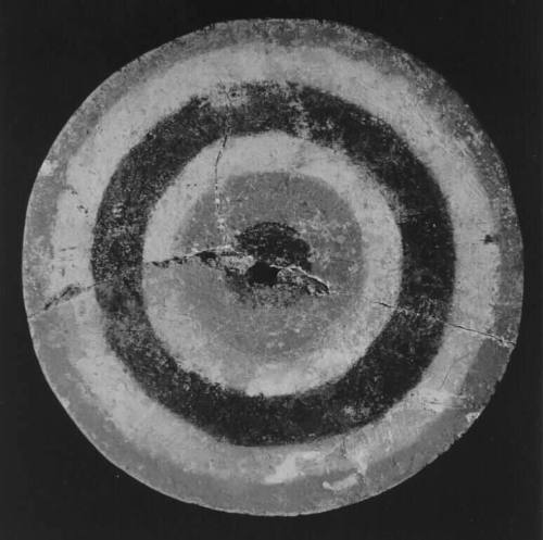 Shield