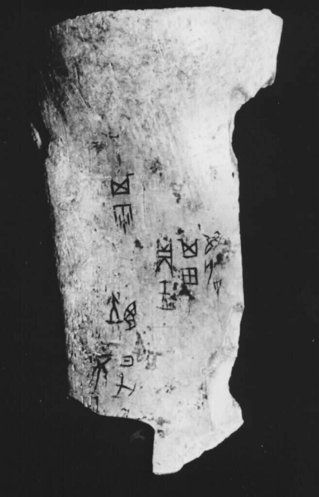 Inscribed Oracle Bone