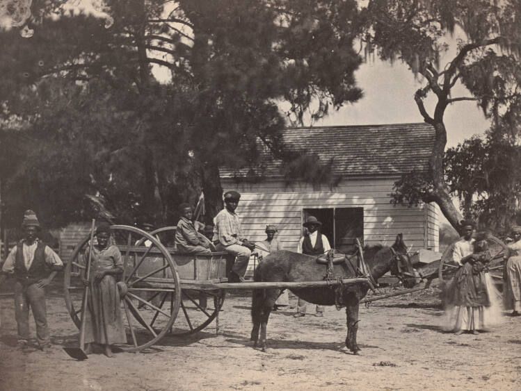 "Gwine to da Field," (Hopkinson Plantation, Edisto Island, South Carolina)