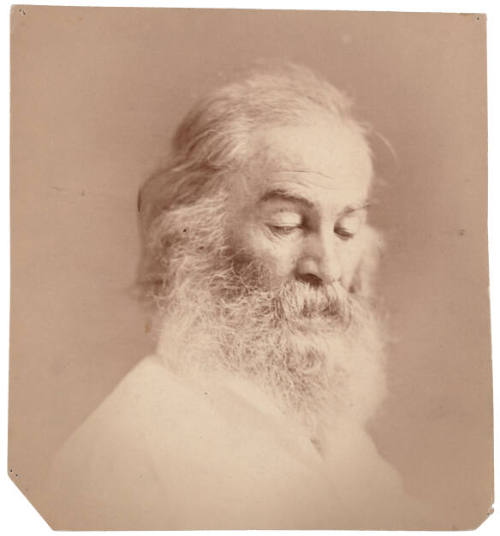 William Kurtz