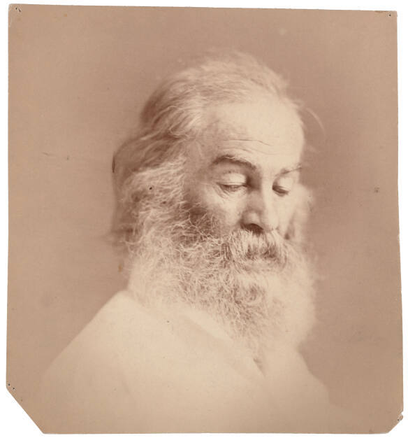 William Kurtz