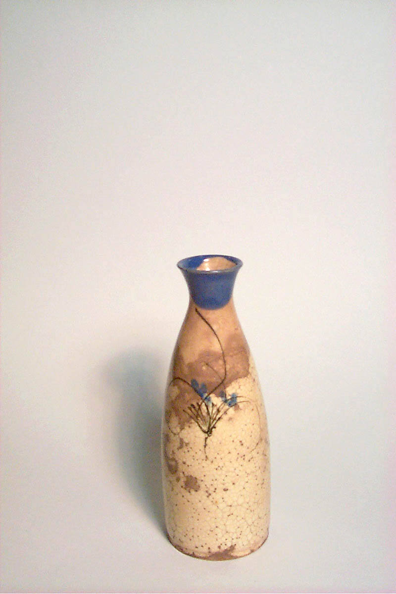 Sake Warming Bottle