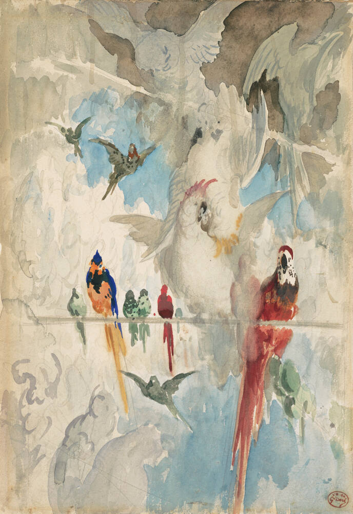 Study of Birds
