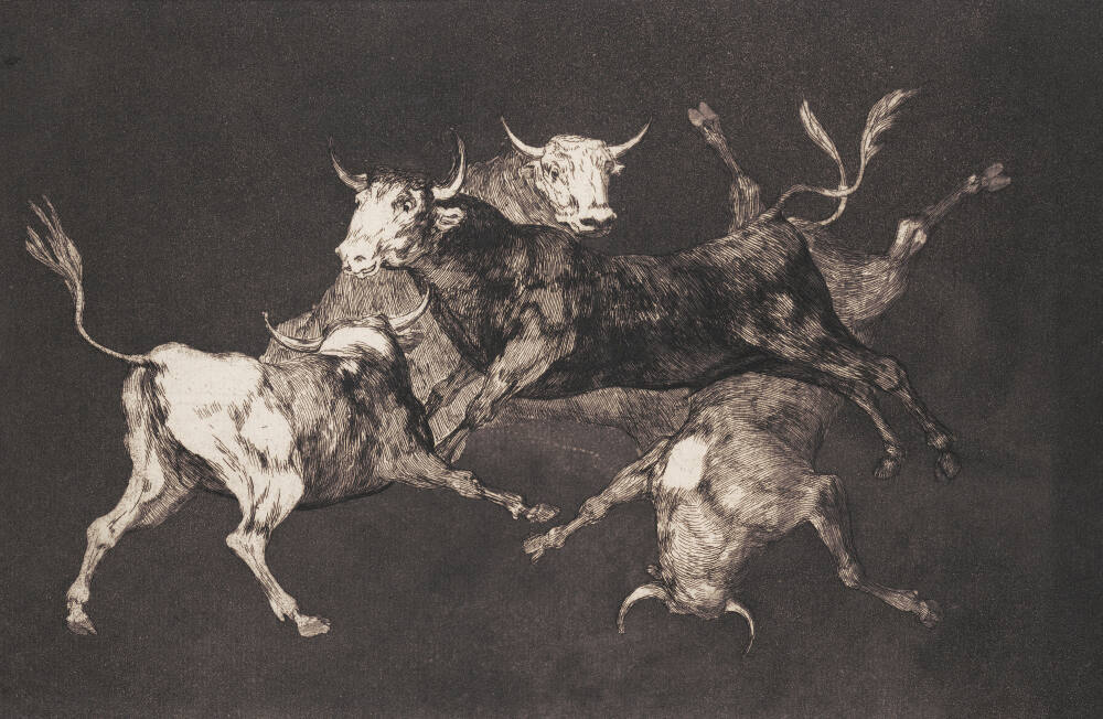 Make way for bulls and wind