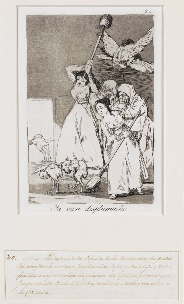 All Plucked (No. 20)