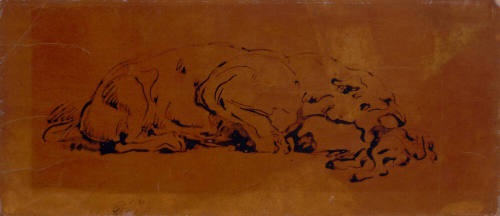 Lioness Devouring a Hare