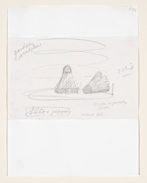 Notebook Page: Salt and Pepper Set of Shuttlecocks as Garden Sculptures