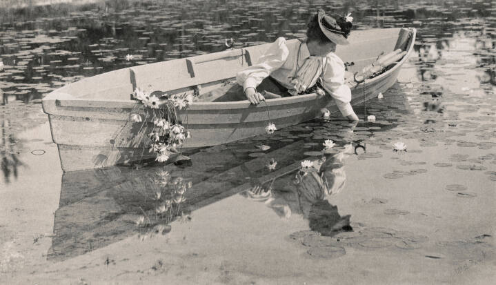 Picking Waterlilies