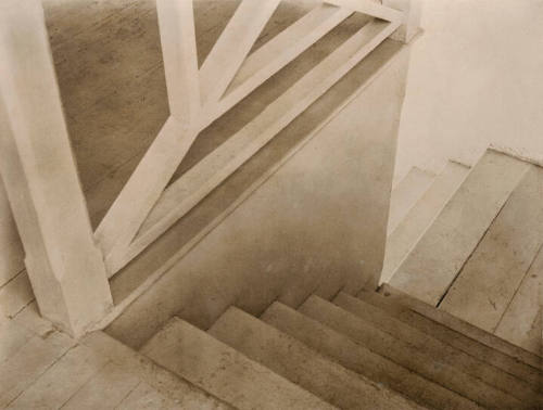 Tina Modotti