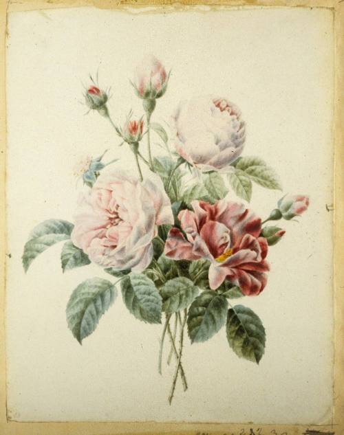 Four Stems of Roses