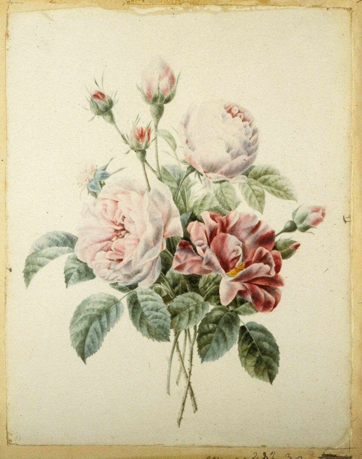 Four Stems of Roses