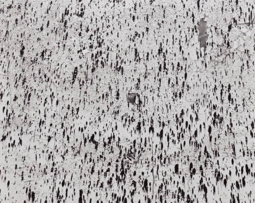 Wall, Chicago