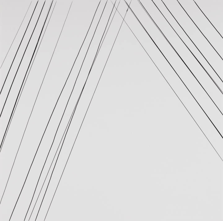Telephone Wires