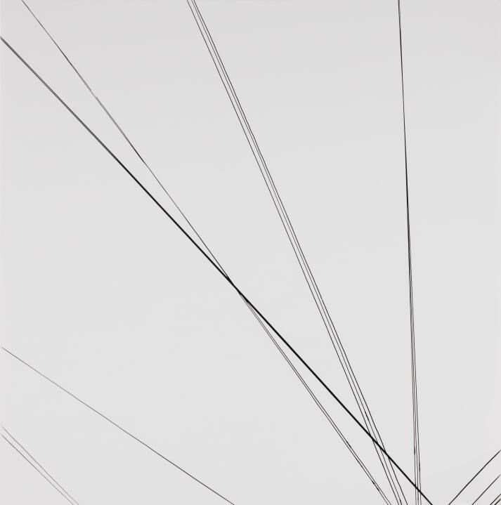 Telephone Wires