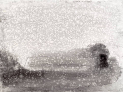 Suzanne Chamlin
