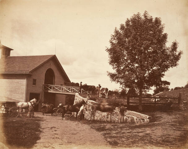 On the Loring Estate