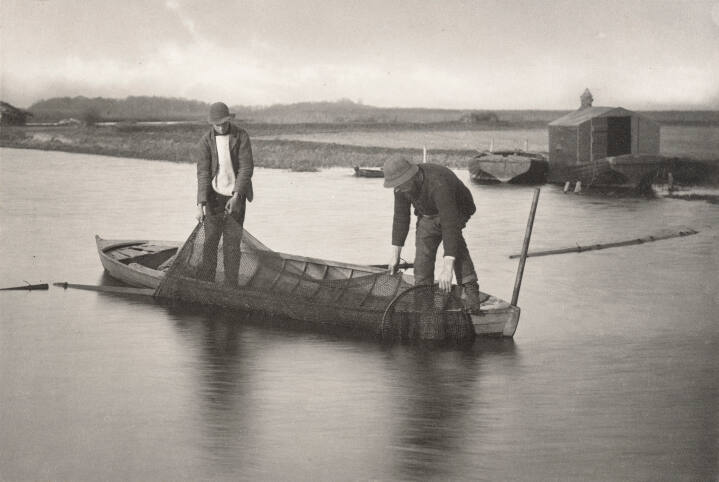Taking Up the Eel-Net