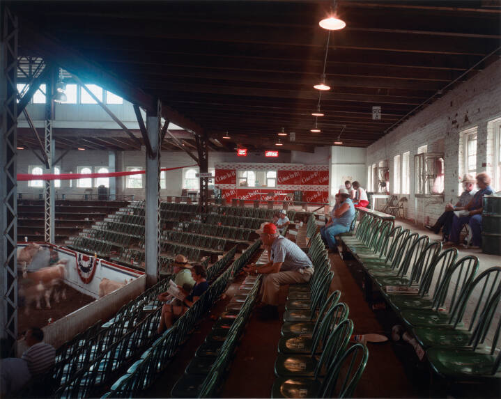 Cattle Auction, Sedalia, MO