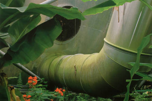 Green Ductwork, Eden Project