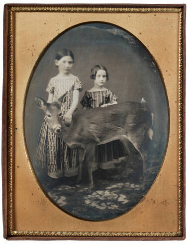 Two Girls in Studio with Deer