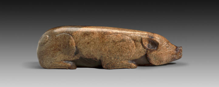 Pig