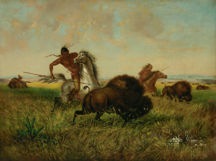 Buffalo Hunt