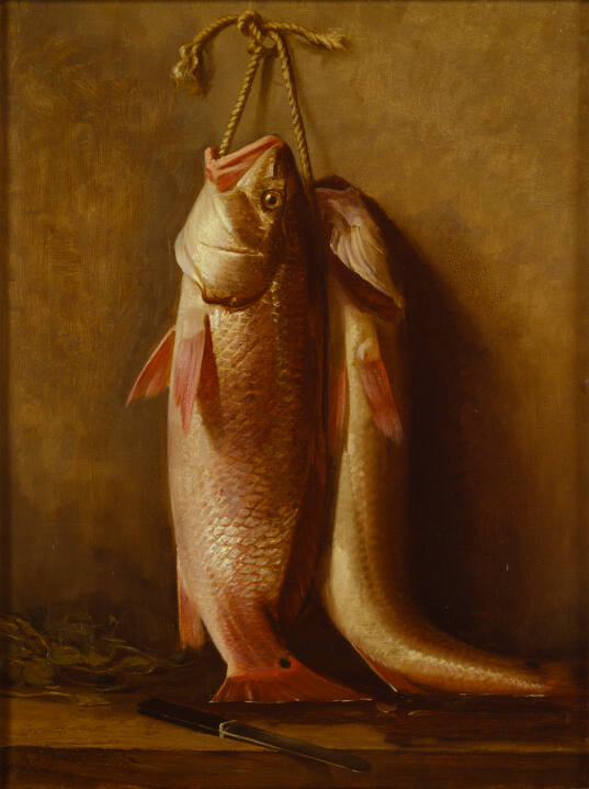 Redfish