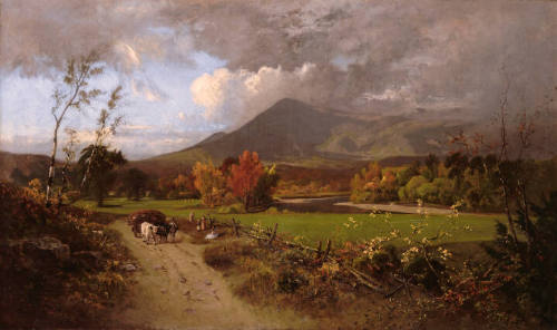 Conway Meadows
