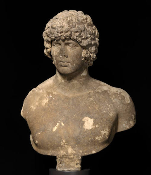 Portrait of Antinous (?)