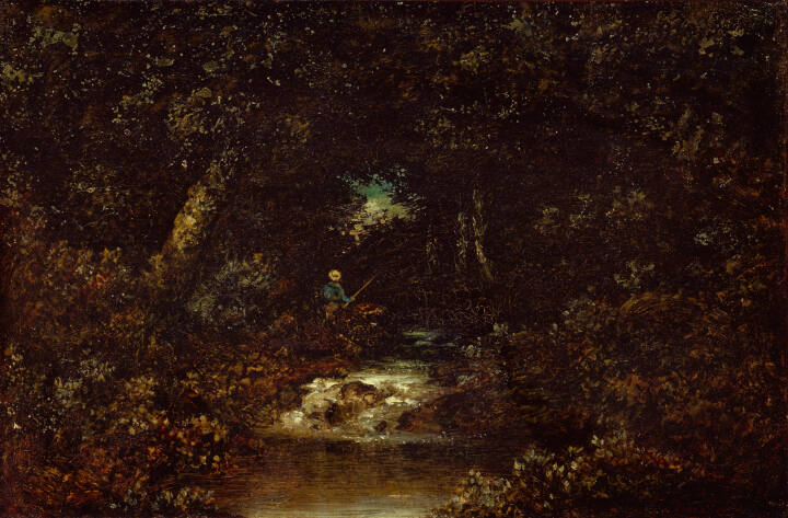 Forest Landscape