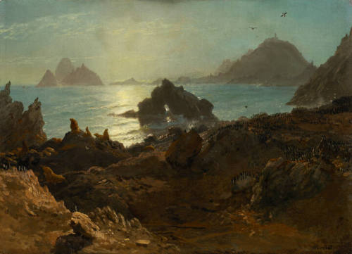 Farallon Islands, Pacific Ocean, California