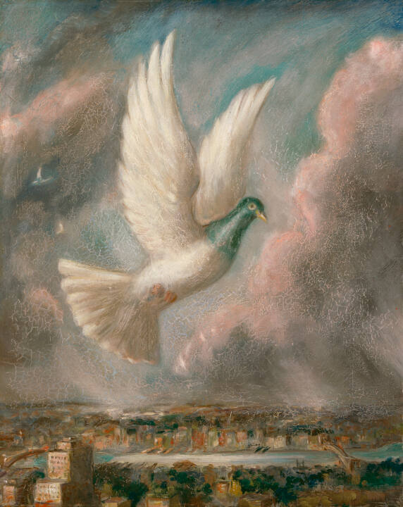 The Pigeon